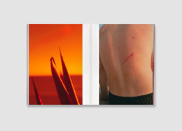 Christopher Barraja - De Chlore et de Rosé