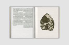 Almudena Romero - The Pigment Change