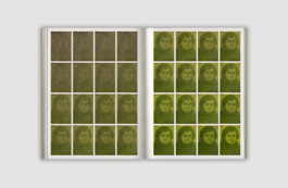 Almudena Romero - The Pigment Change