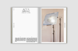 Almudena Romero - The Pigment Change