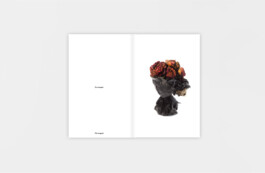 Liberté, Objets, Fraternité - Yves Samuel